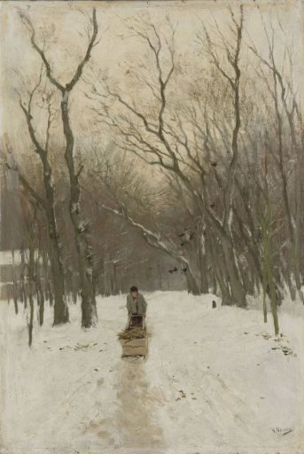 Winter in the Scheveningen woods