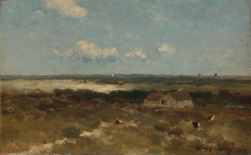 Dune landscape