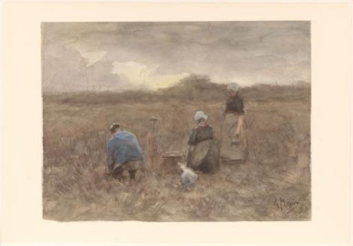 Potato Diggers