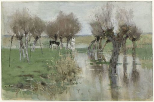 High water in the pasture