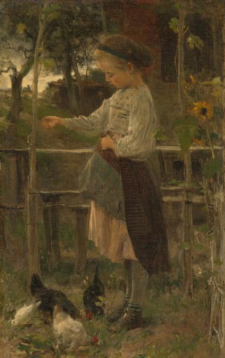 Feeding Chickens