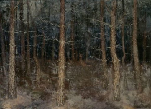 'Mystic paths': forest view