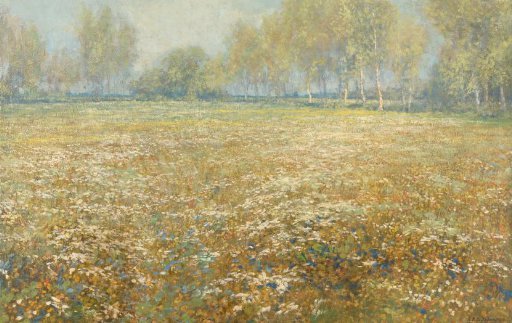 Meadow in Bloom