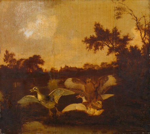 A Buzzard Attacking Two Ducks