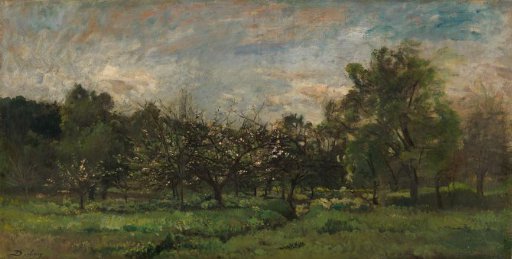 Orchard