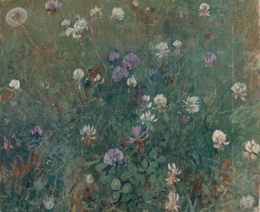 Blooming Clover