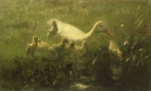 White Duck with Ducklings