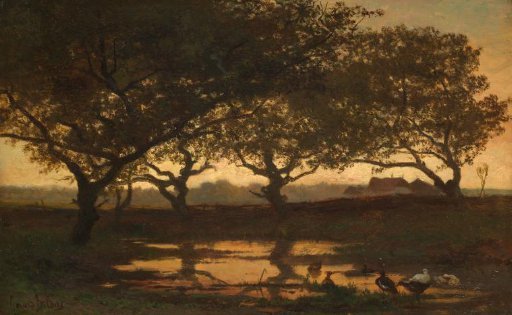 Woodland Pond at Sunset