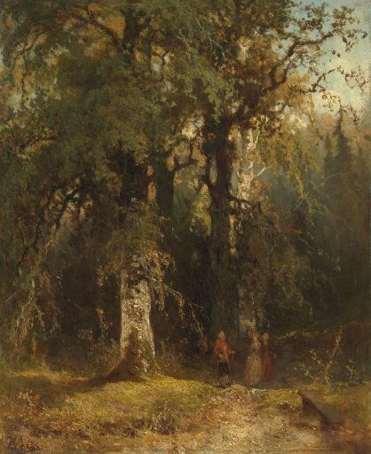 View in the Woods