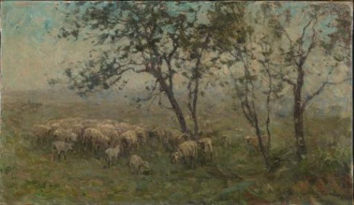 A Flock of Sheep
