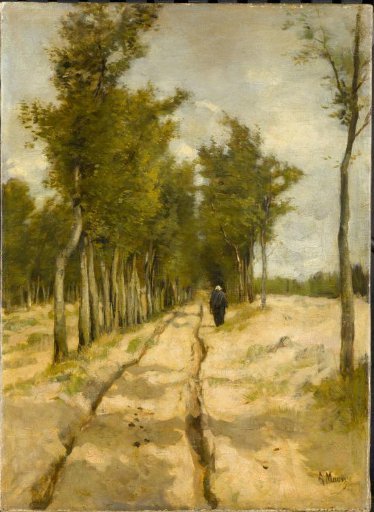 The Torenlaan in Laren