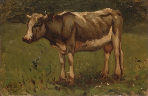 Cow