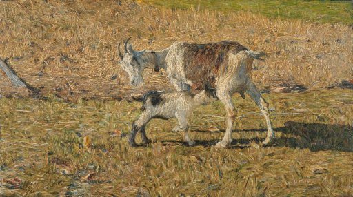 A Goat with her Kid
