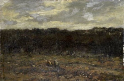 Small pond on the heath