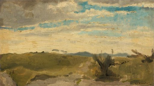 View in the Dunes near Dekkersduin, The Hague