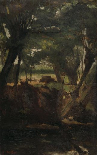 View in the Woods