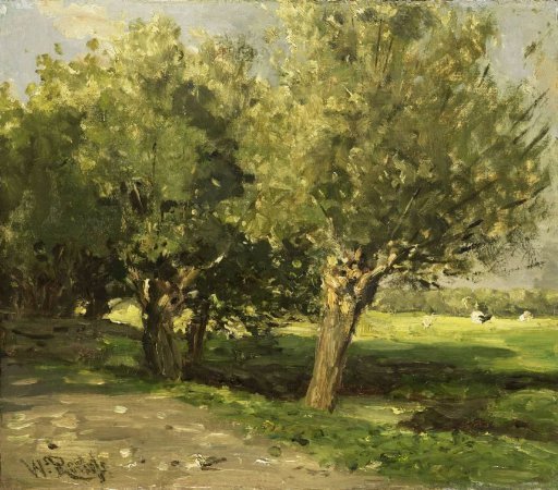 Willow trees