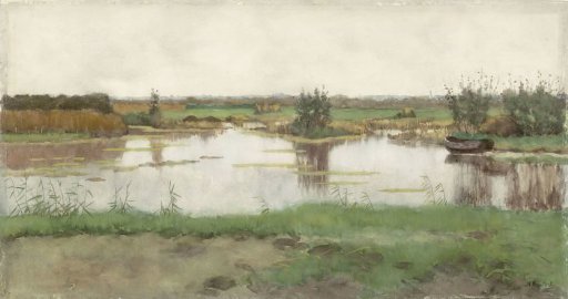 A Puddle in a Meadow