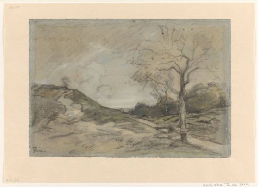 Dune Landscape