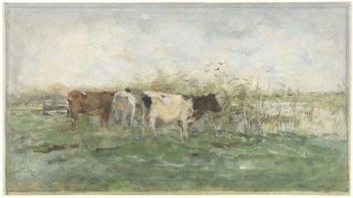 Cows by a Pool