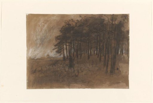 Edge of the Woods