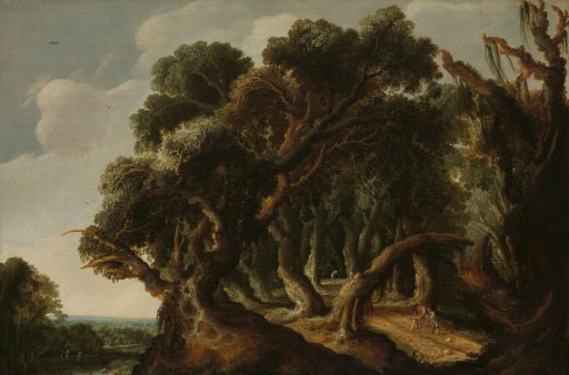 Forest Landscape