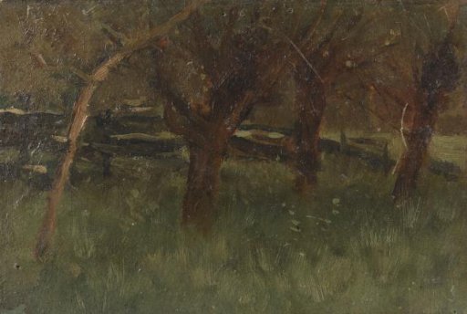 Orchard