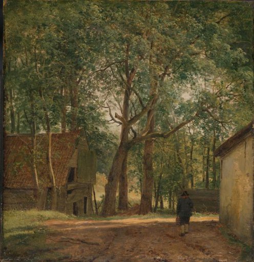 Farmyard