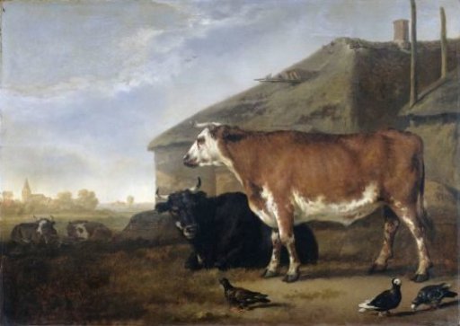Cattle