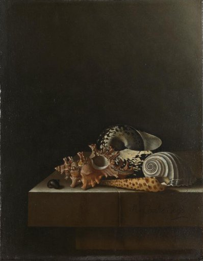 Shells on a stone plinth