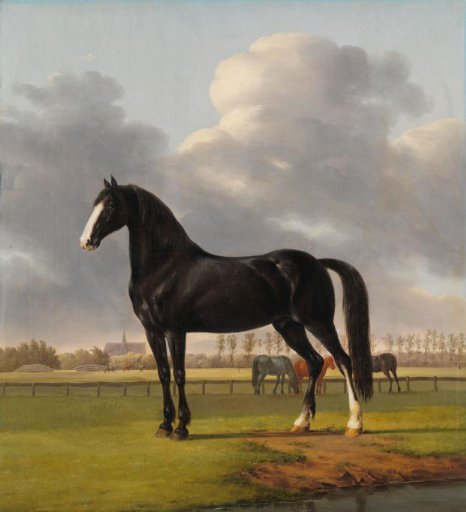 Adriaan van der Hoop’s Trotter ‘De Vlugge’ (The Fast One) in a Meadow