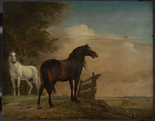 Two Horses in a Field by a Fence