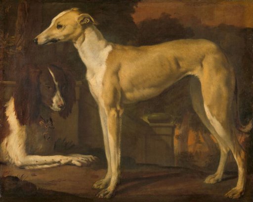 Portrait of a Greyhound and Spaniel