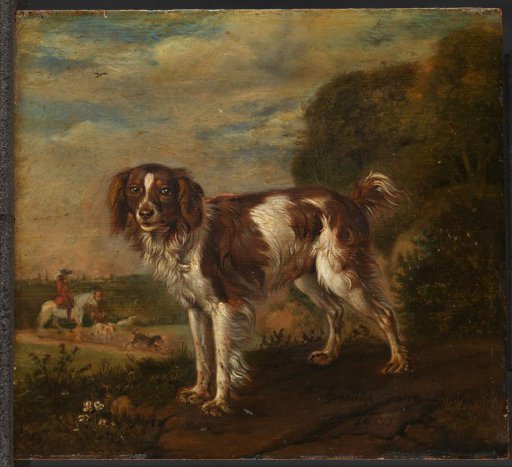 A spaniel