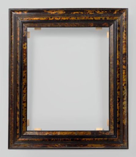 Tortoise-shell frame with a renversé profile
