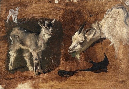 Goats