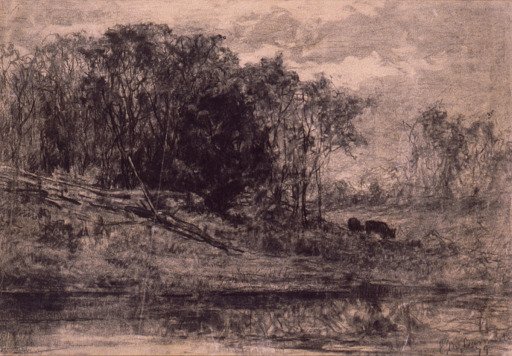 Cows in the Forest
