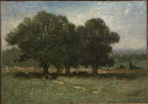 Landscape