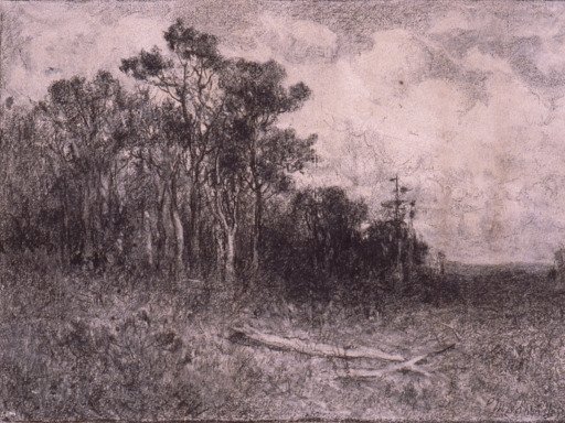 Landscape, Woodland Scene