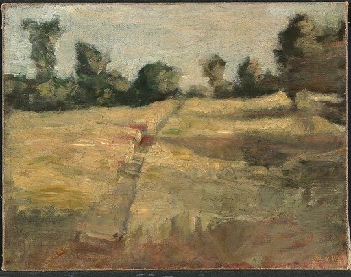 The Field