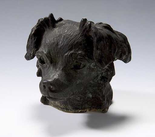 Head of Dog
