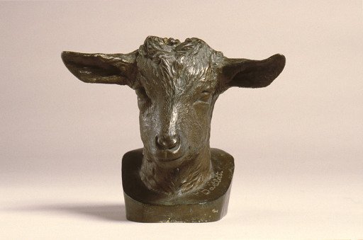 Kid's Head