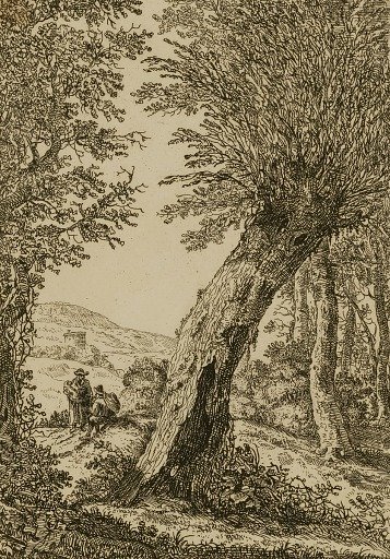 Landscape with Willow