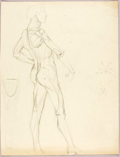 Anatomical Study