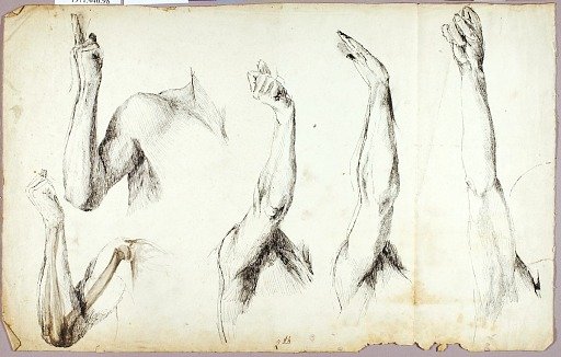 Arm Studies, #2