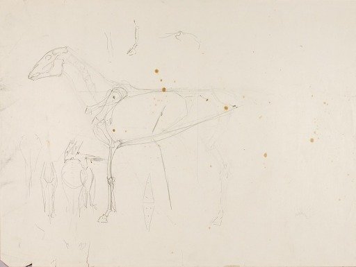 Horse