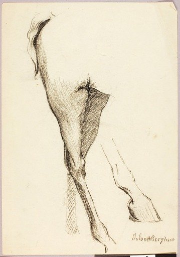 Horse Study