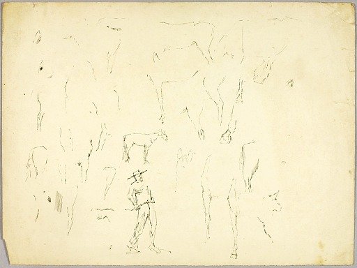 Horse Study
