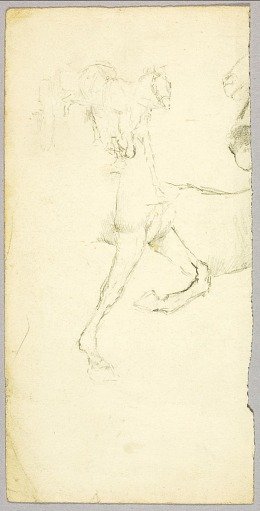 Horse Study