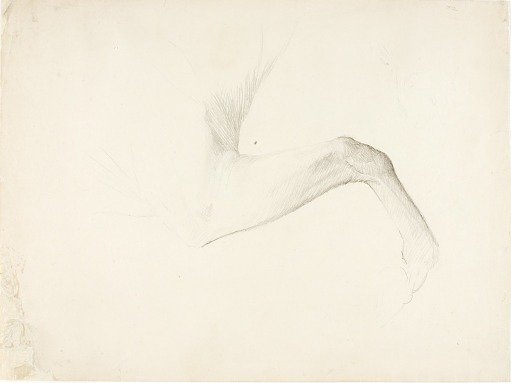Horse's Leg